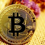 Jak vybrat správnou pevnou část (ASIC) pro Bitcoin