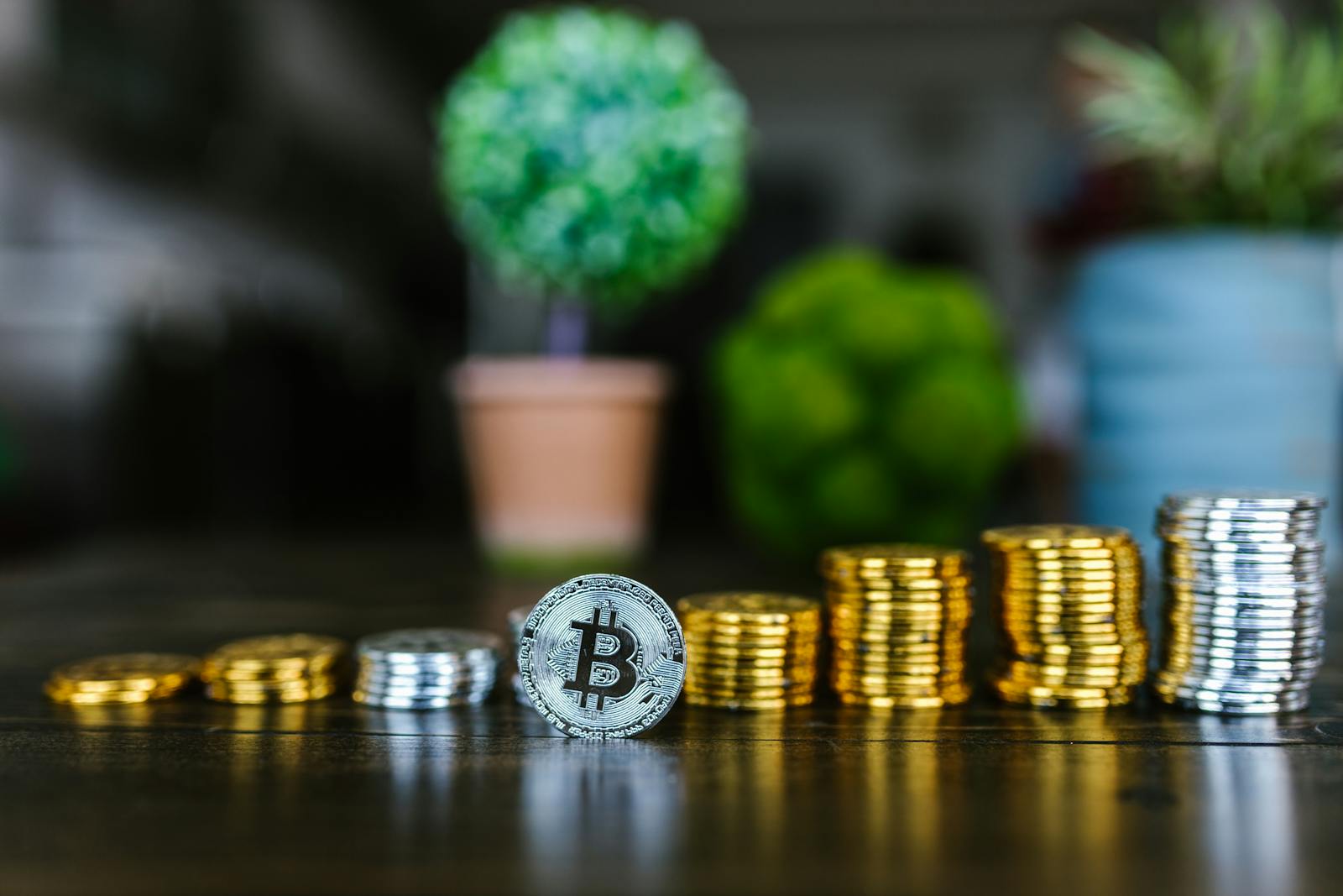 Close-up of a Bitcoin and stacked coins with a blurred plant background, symbolizing finance and investment.